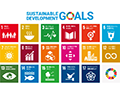 SDGs̎g